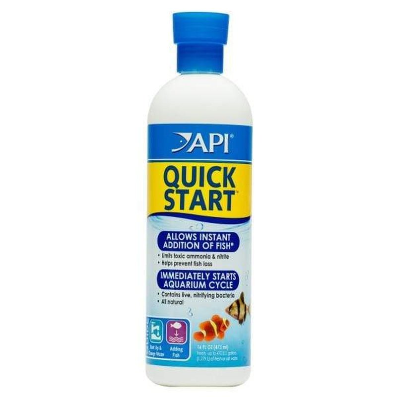 API Quick Start Kit - Fast & Easy Integration for Developers | Perfect for Web & Mobile App Development