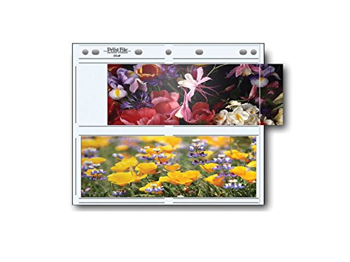 Print File Photo Pages - Holds Four 3.5x10 Panoramic Prints (Pack of 25) | Archival Storage for Landscape Photos, Travel Memories & Wall Displays