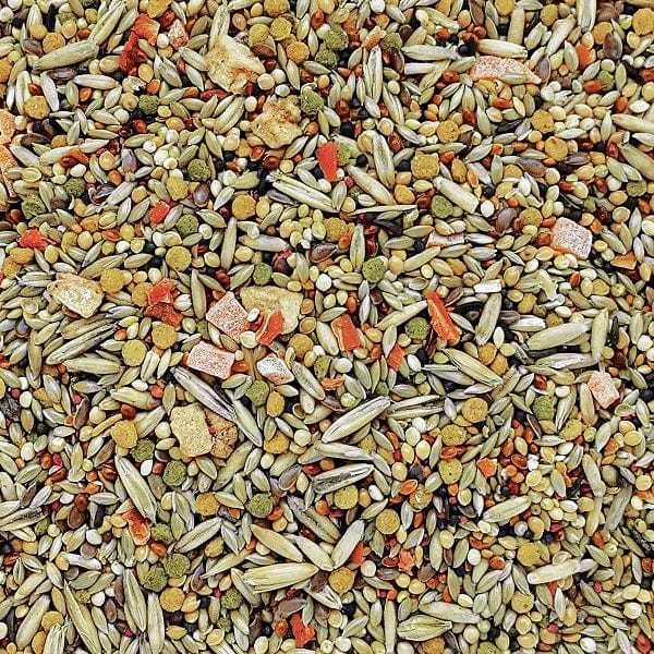 Premium HARI Gourmet Budgie Seed Mix - 1kg Nutrient-Rich Bird Food for Parakeets & Small Birds | Perfect for Daily Feeding & Treats at Home or Aviary