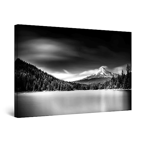 Black White Landscape