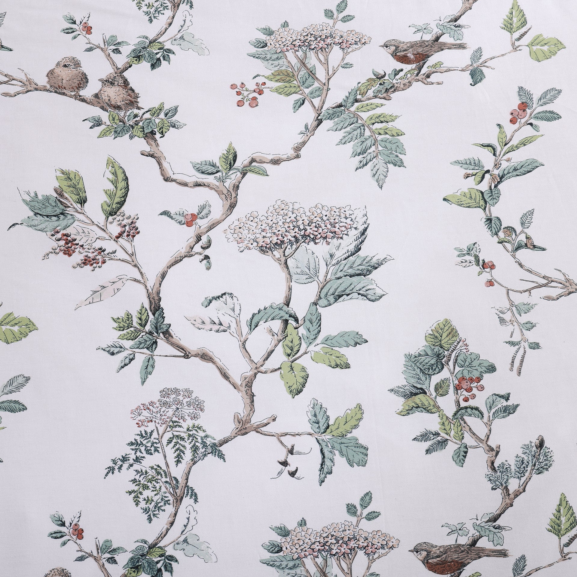 Laura Ashley Elderwood Natural Quilt Cover Set - 100% Cotton Queen Size Bedding with Botanical Print | Perfect for Master Bedroom, Guest Room & Cozy Farmhouse Decor