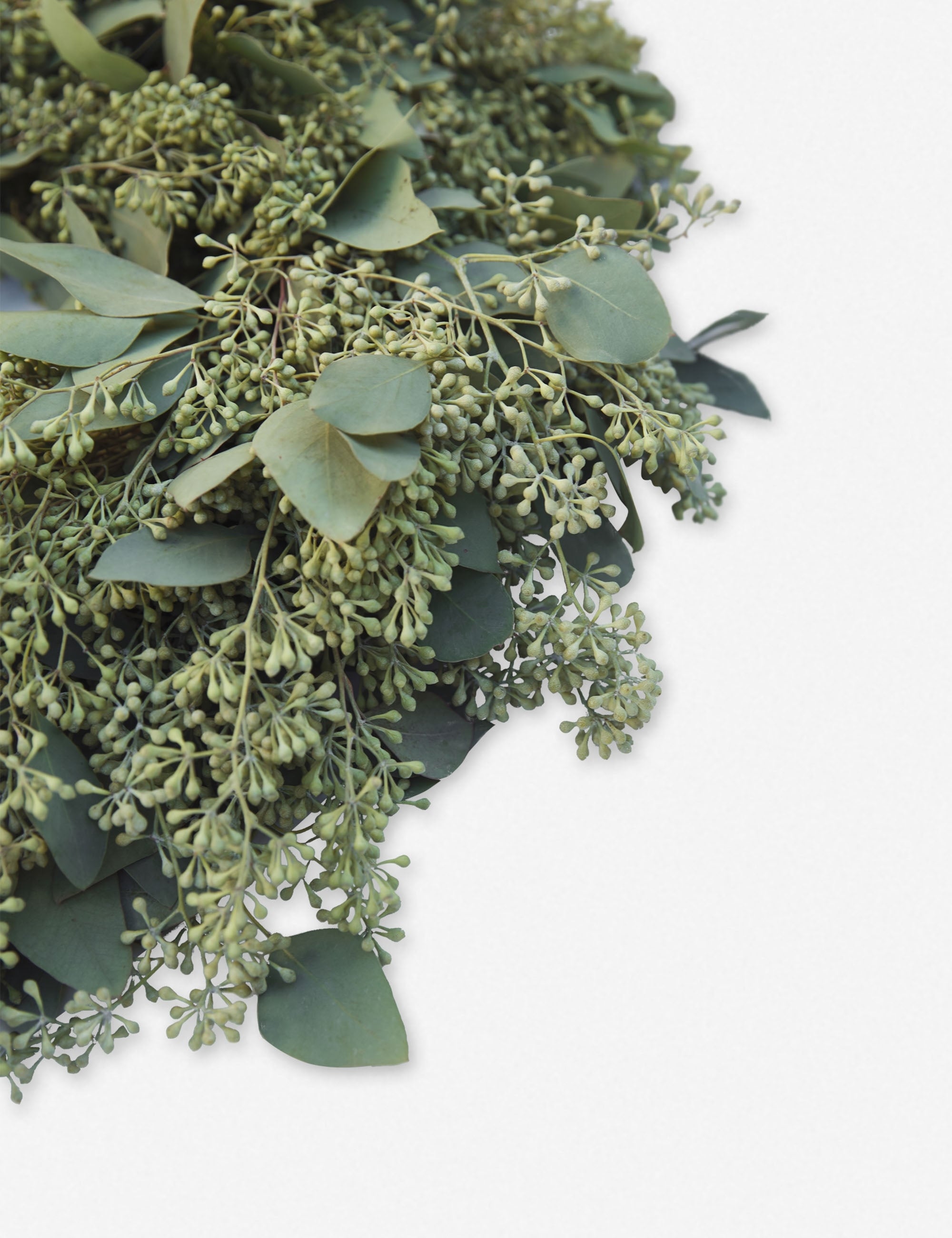 Fresh Handmade Seeded Eucalyptus Wreath - Natural Boho Home Decor for Front Door, Wall, Wedding & Holiday Decorations