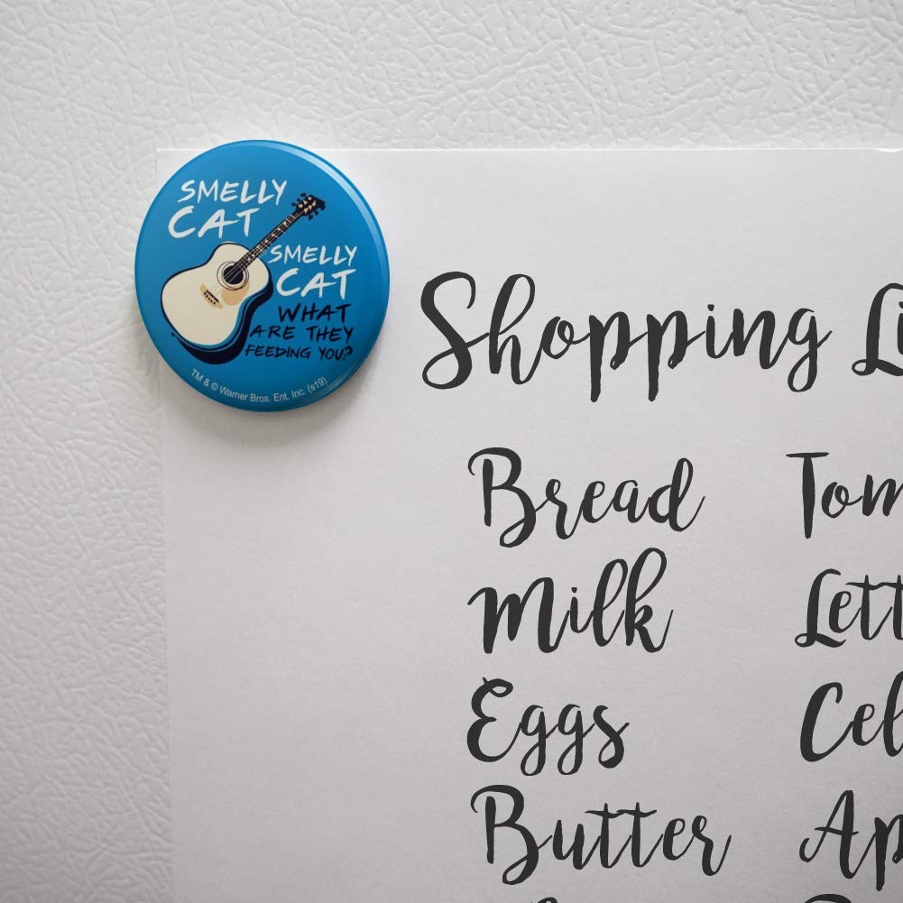 Friends TV Show Smelly Cat Song Kitchen Fridge Magnet - Funny Refrigerator Decoration for Fans, Home & Office Decor