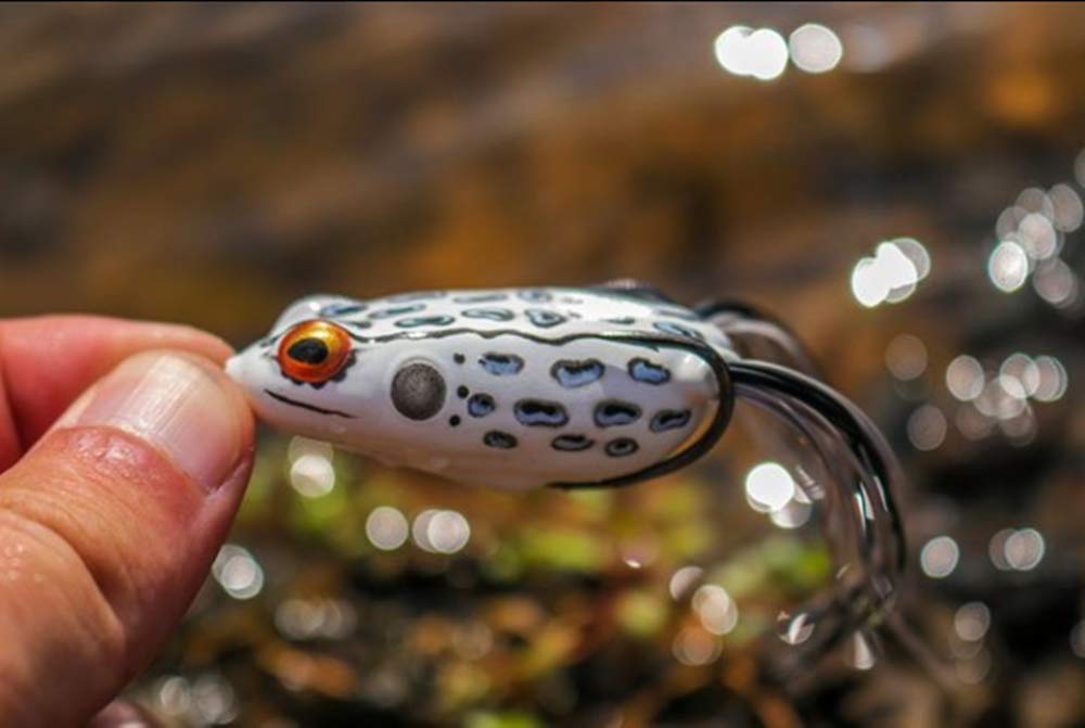 Booyah Pad Crasher Jr Topwater Bass Fishing Lure - Weedless Hollow Body Frog Bait with Sharp Hooks for Freshwater Fishing | Perfect for Lily Pads & Heavy Cover Areas
