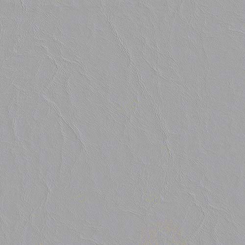 Silver Gray