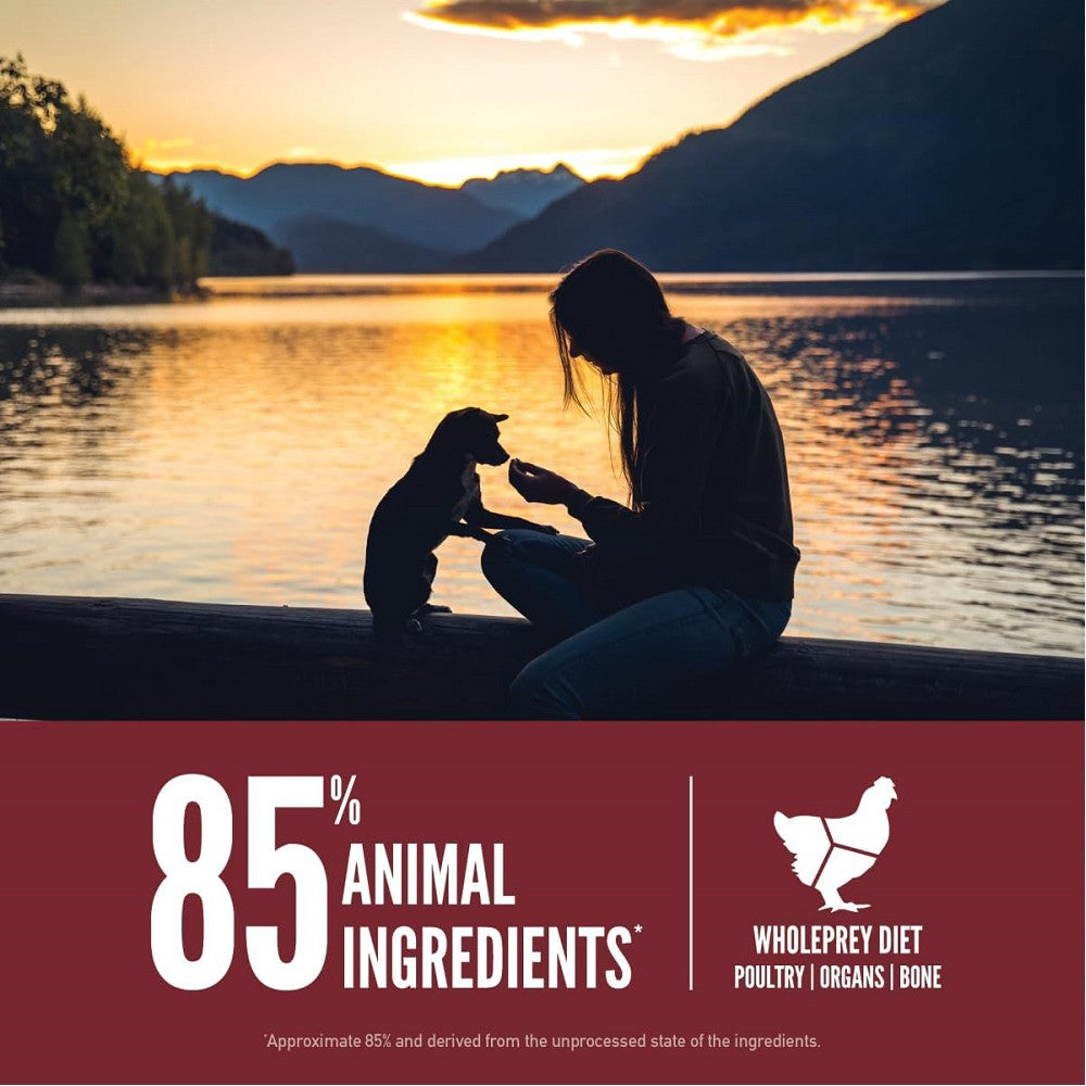 Premium Small Breed Dog Food with Turkey, Chicken, Quail & Wild-Caught Fish - High Protein Dry Kibble for Puppies & Adult Dogs - Made in USA - Perfect for Home Feeding & Travel Snacks