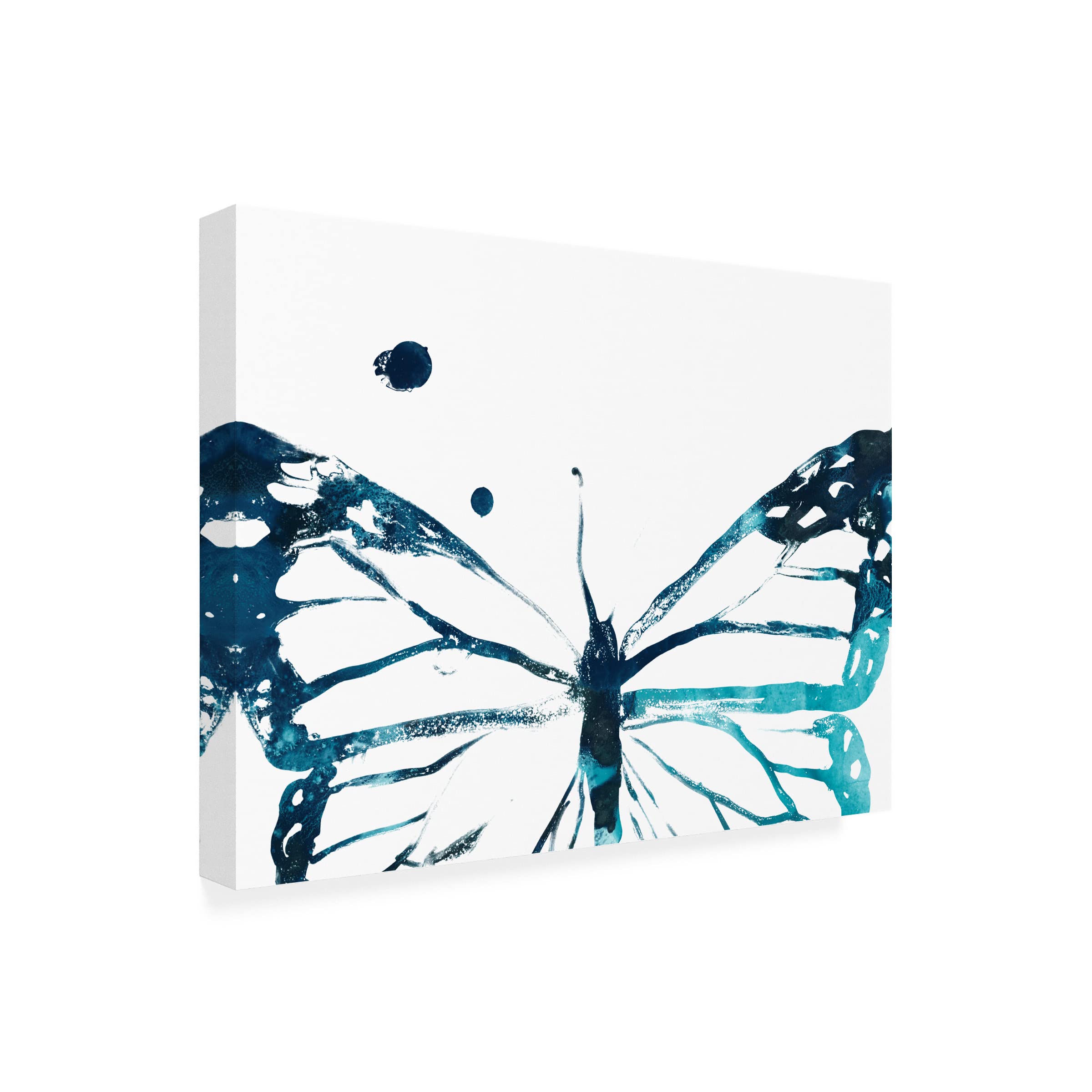 Trademark Fine Art 'Butterfly Imprint III' Canvas Wall Art Print by June Erica Vess - Modern Home Decor for Living Room, Bedroom & Office