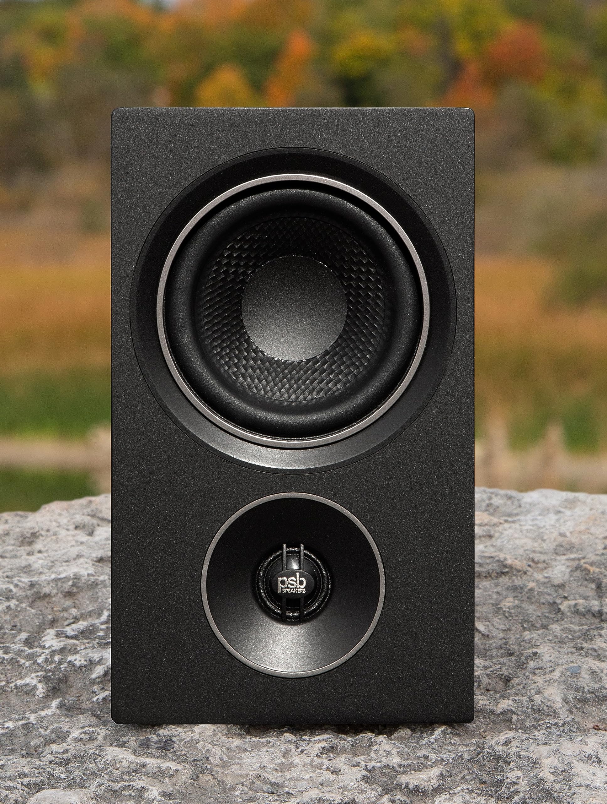 PSB Speakers Alpha P3 Passive Compact Bookshelf Speakers - High-Quality Audio for Home Theater, Studio, and Office (Black Ash, Pair)