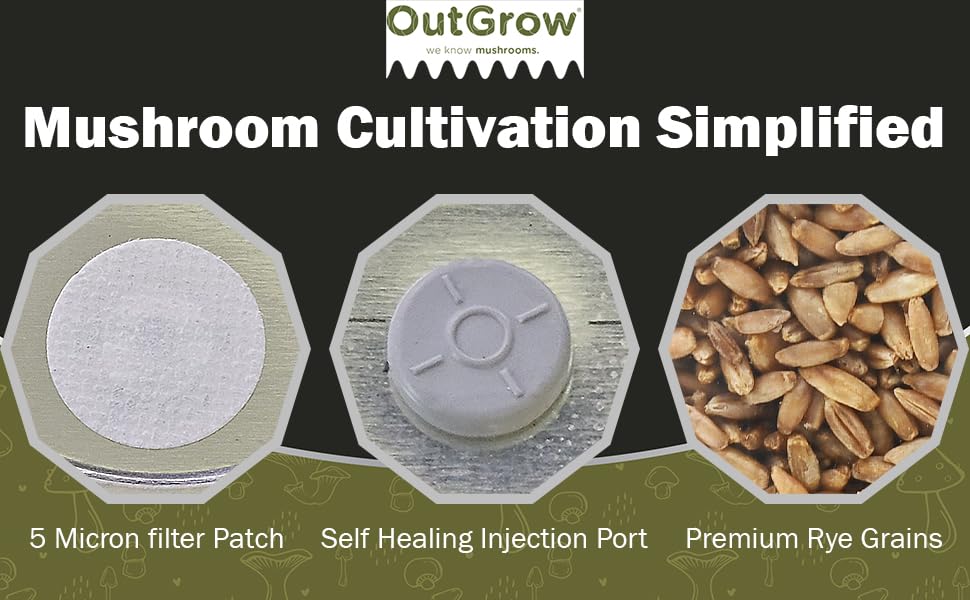 4 Quart Sterilized Rye Grain Jars & 4 lbs Manure-Based Mushroom Substrate - Premium Mushroom Growing Kit for Home Cultivation (Gourmet & Medicinal Mushrooms)