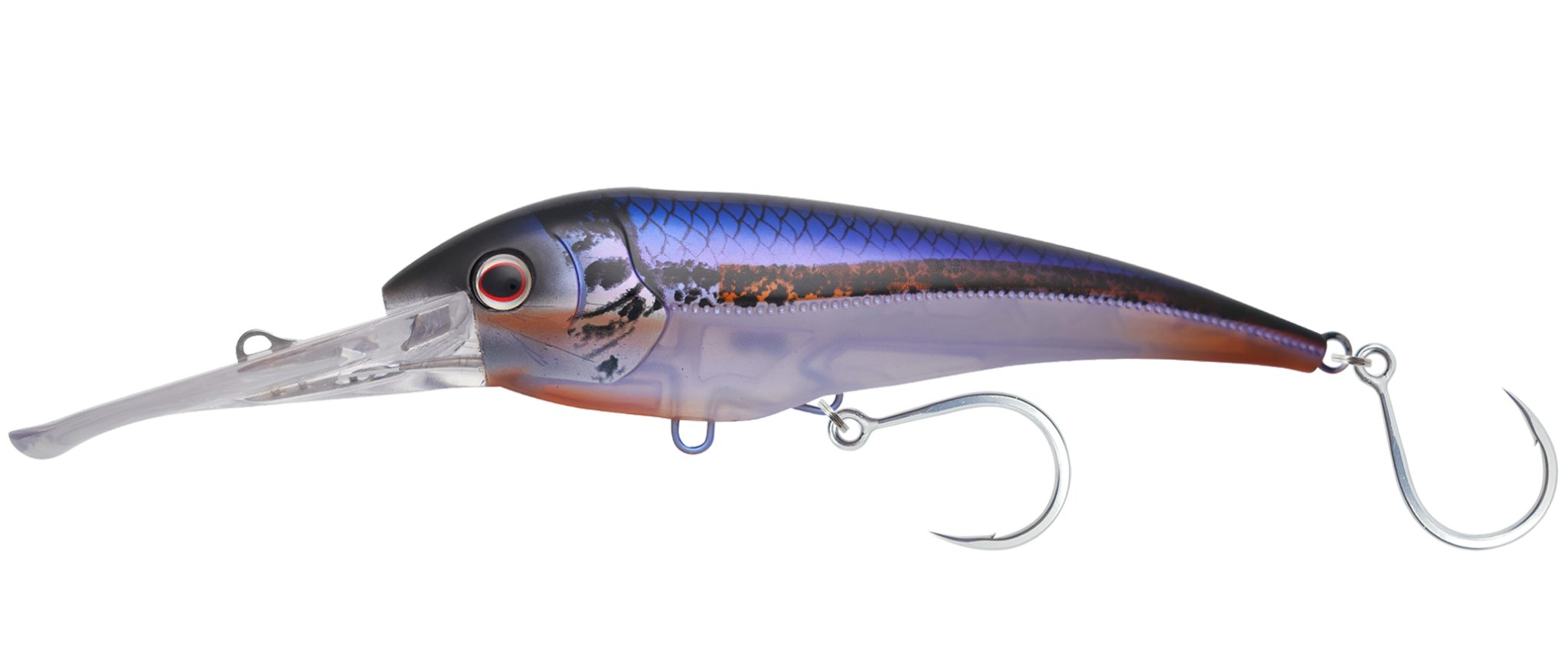 Sardine
