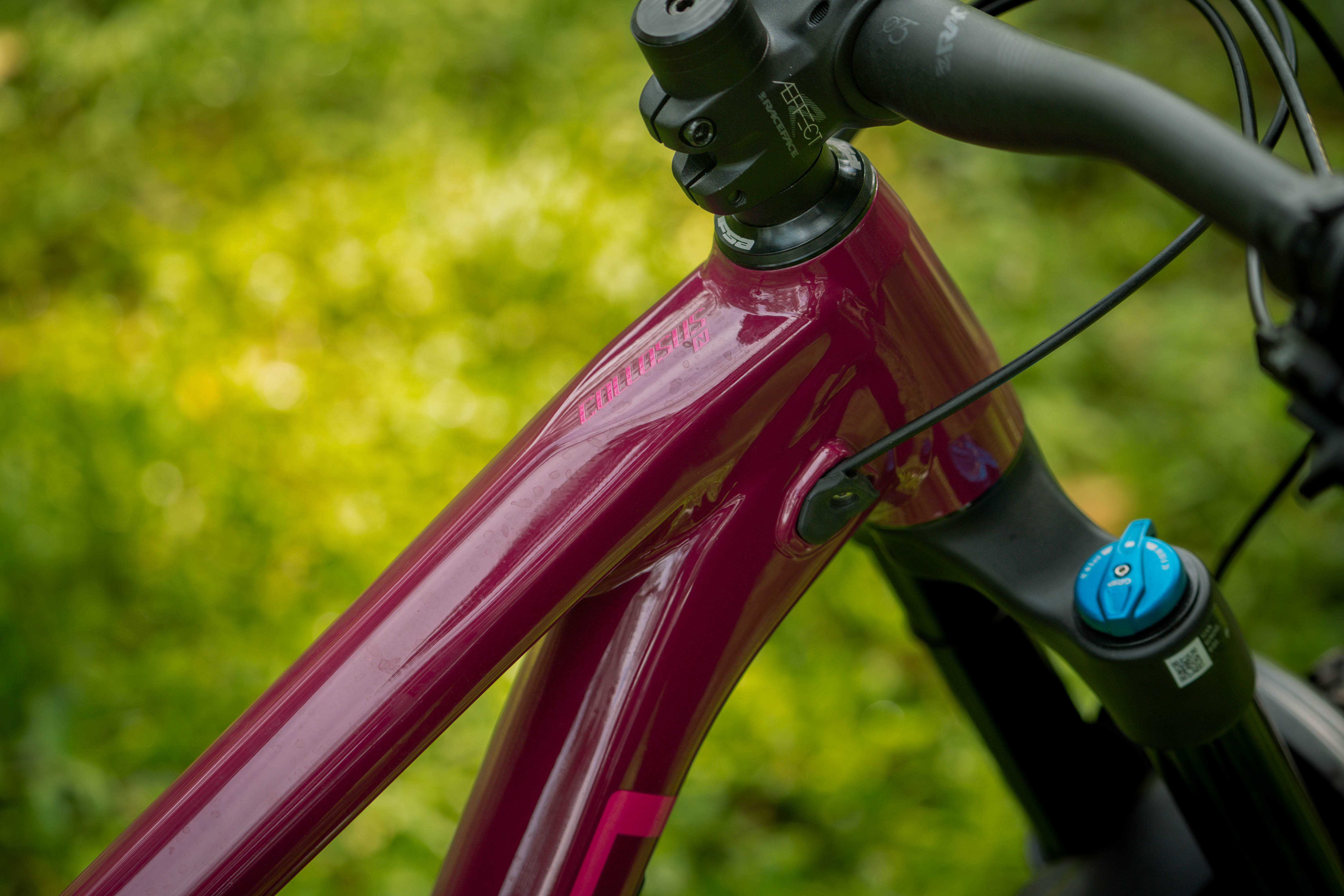 Polygon Collosus N9 Enduro Mountain Bike - 29