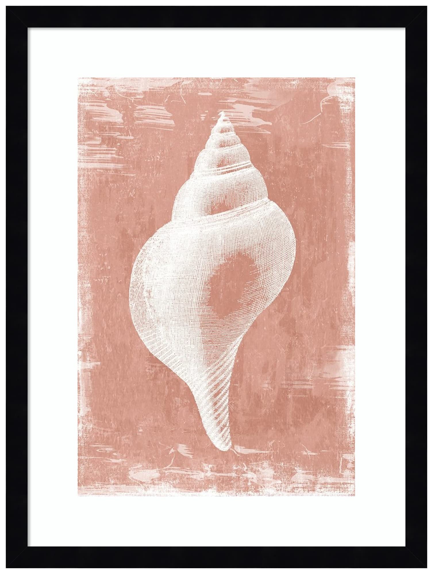 Amanti Art Framed Wall Print - 21x16 Enigma Inside I (Shell) by Aimee Wilson | Beach Themed Wall Art, Coastal Home Decor | Perfect for Living Room, Bedroom, Bathroom, Kitchen & Office | Nautical Decor & Seaside Inspired Interior Design
