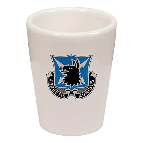 US Army 310th Military Intelligence Battalion, DU