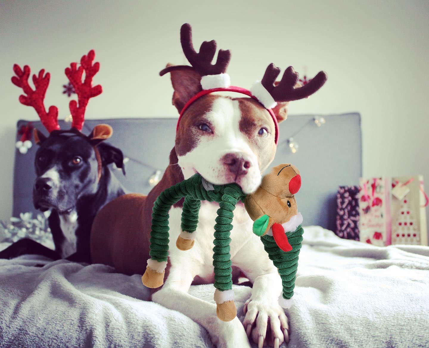 BoomBone Christmas Dog Toys 2 Pack - Durable Holiday Chew Toys for Aggressive Chewers, Interactive Rope & Squeaky Tug Toys for Small & Medium Dogs - Perfect for Indoor Play, Training & Holiday Gifting