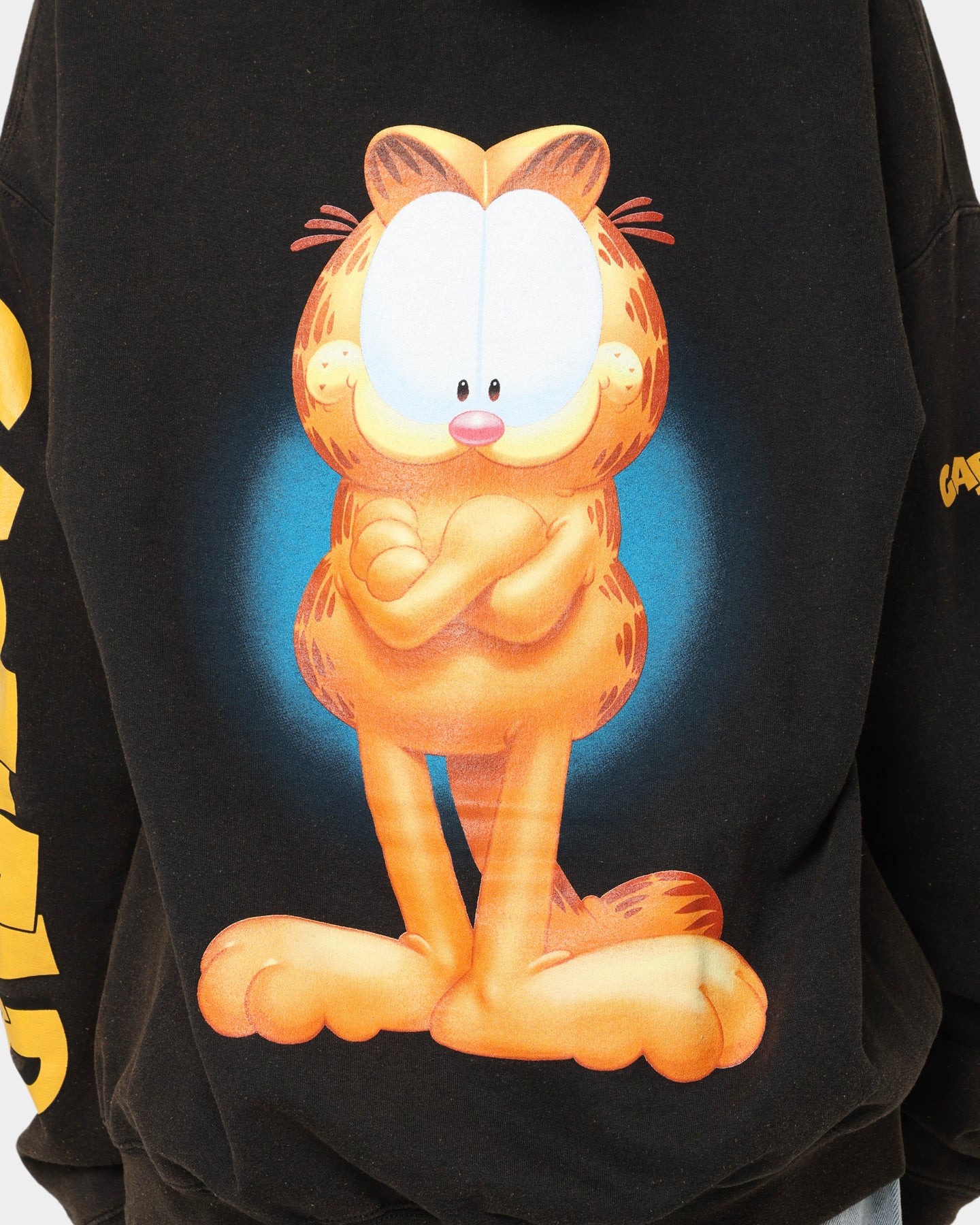 Vintage Garfield Hoodie - Black Wash | American Thrift | Retro Cartoon Sweatshirt for Men & Women | Perfect for Casual Wear, Cosplay & Gift Giving
