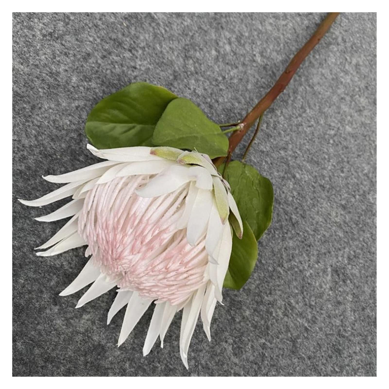 6Pcs Artificial Poseidon Flowers - Realistic Fake Single Stem European Style Christmas Decor for Home, Wedding, Party & Holiday Decoration (White)