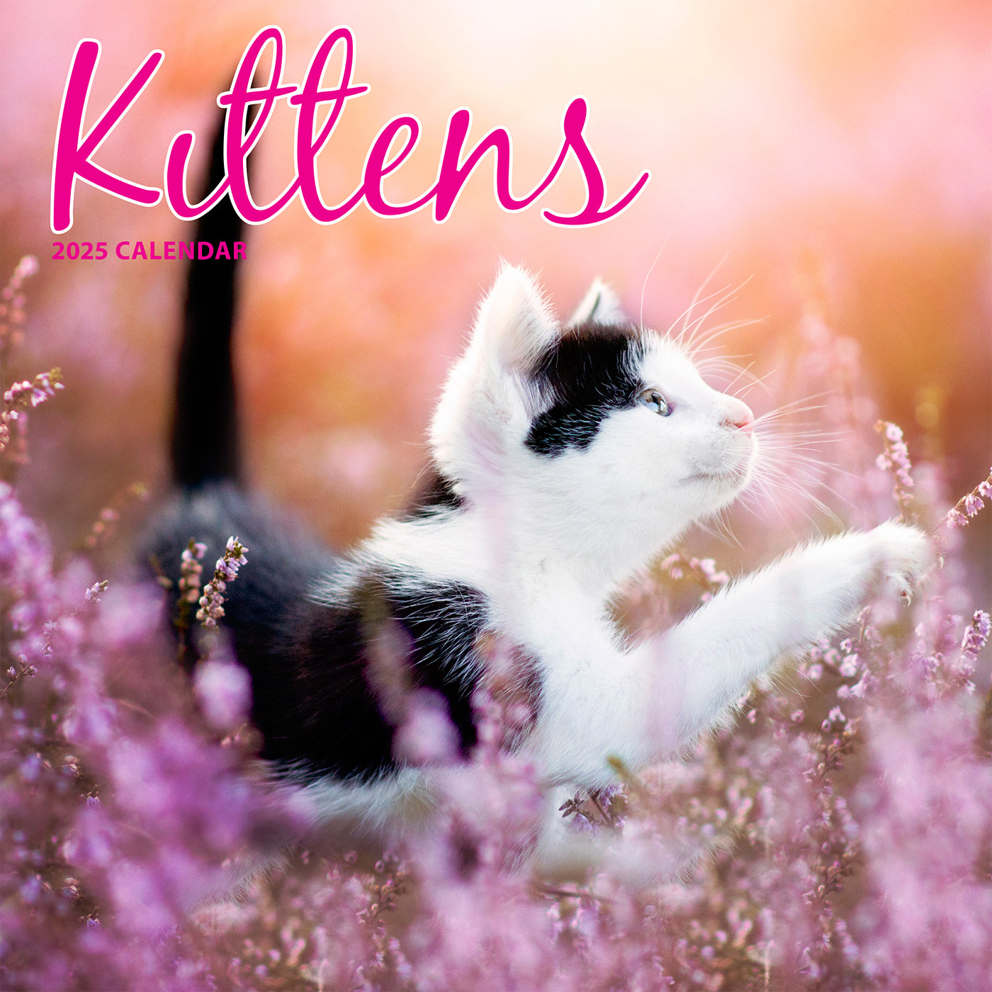 2025 Kittens Traditional Wall Calendar - Cute Cat Theme for Home & Office Decor, Gift Idea for Cat Lovers, Perfect for Planning & Organization