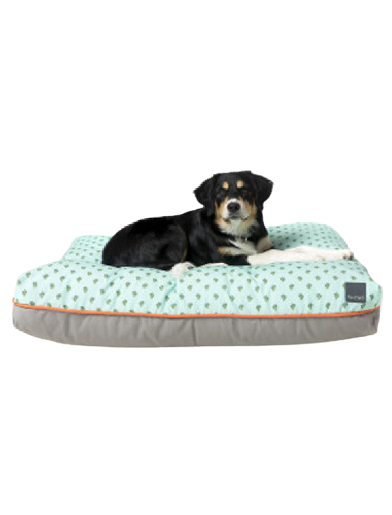 Fuzzyard Big Dreamer Pet Pillow for Dogs & Cats - Soft Plush Bed in 3 Sizes (Small, Medium, Large) - Cozy Sleeping Spot for Pets in Tucson Homes