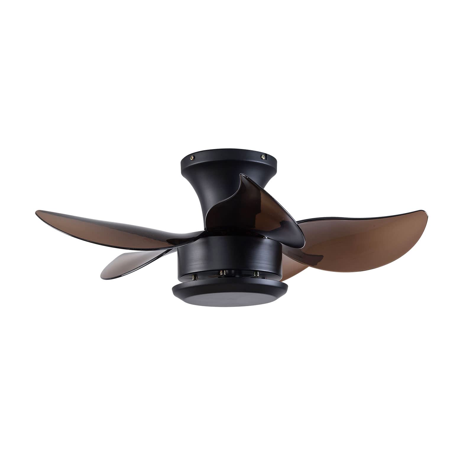 23 Inch Ceiling Fan with Light Kit, Remote Control, 6-Speed Adjustable, Surface Mount Chandelier Fan with Timer - Perfect for Living Room, Bedroom & Kitchen (Black) | Indoor Air Circulation & Decorative Lighting Solution