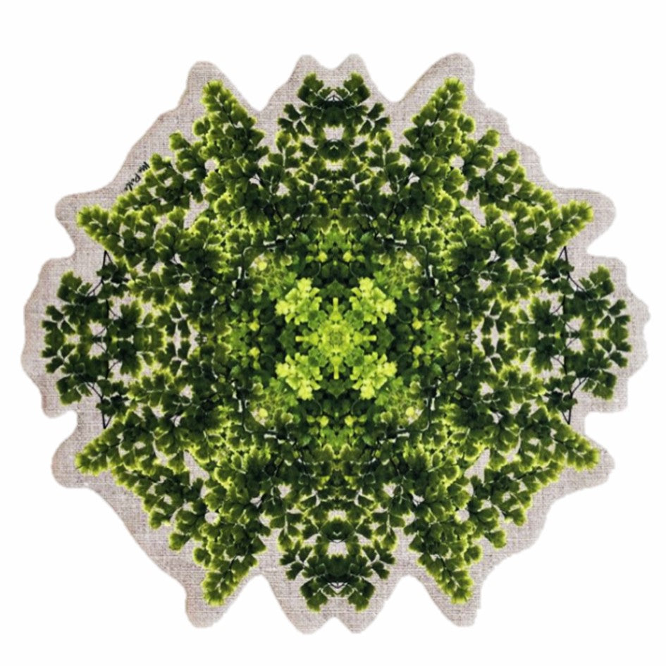 Bosque Waterproof Placemats Set of 2 - Non-Slip Table Mats for Dining, Kitchen, and Outdoor Use - Perfect for Everyday Meals, Parties, and Picnics