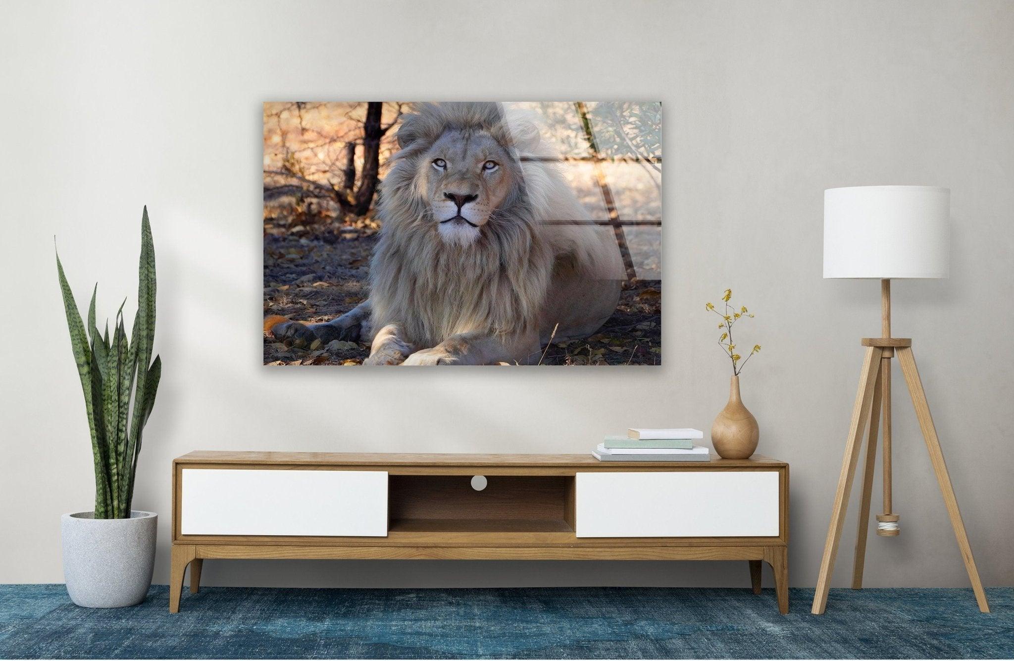 Barbary Lion Glass Wall Art - Handcrafted Modern Home Decor for Living Room, Bedroom & Office - Stunning Wildlife Animal Artwork for Wall Display