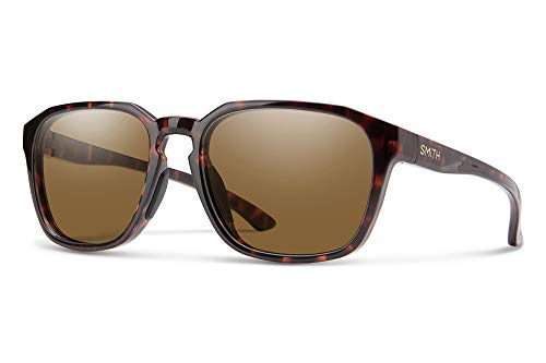 Tortoise / Brown