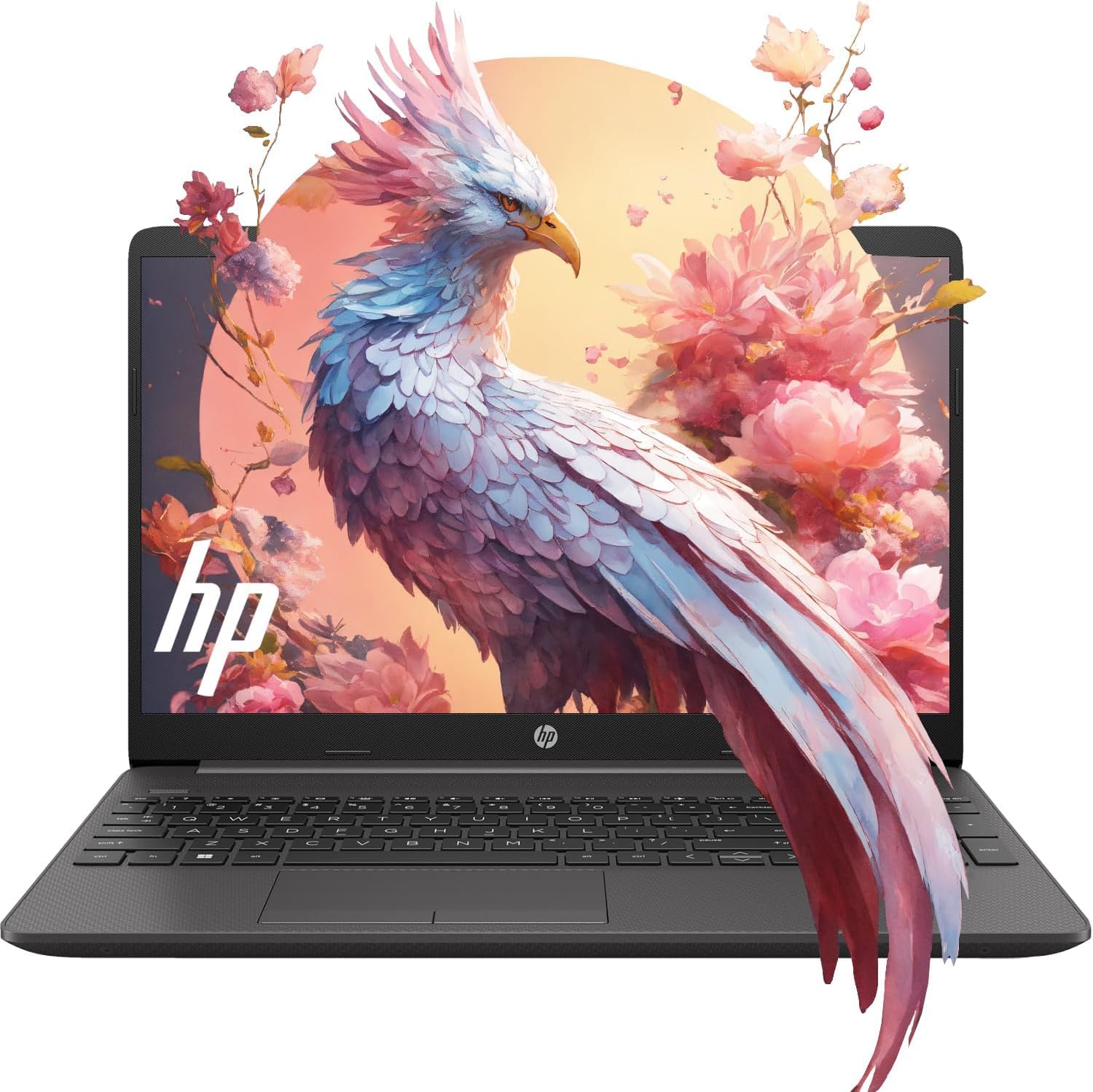 HP New Essential 15.6