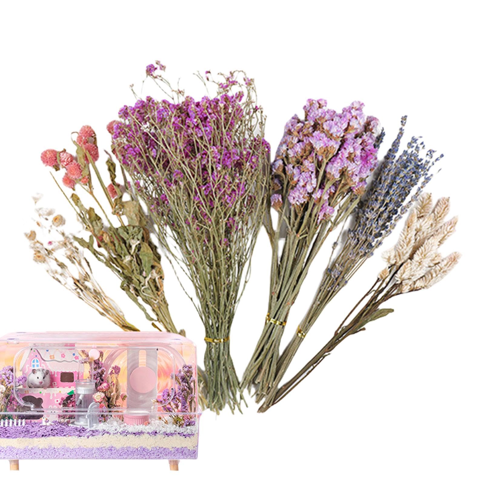 Natural Hamster Flower Bedding - Soft Small Animal Habitat Decor for Mice, Gerbils & Dwarf Hamsters | Eco-Friendly Cage Accessories | Perfect for Themed Enclosures & Naturalistic Pet Environments | Ideal for Nesting, Burrowing & Enrichment Activities