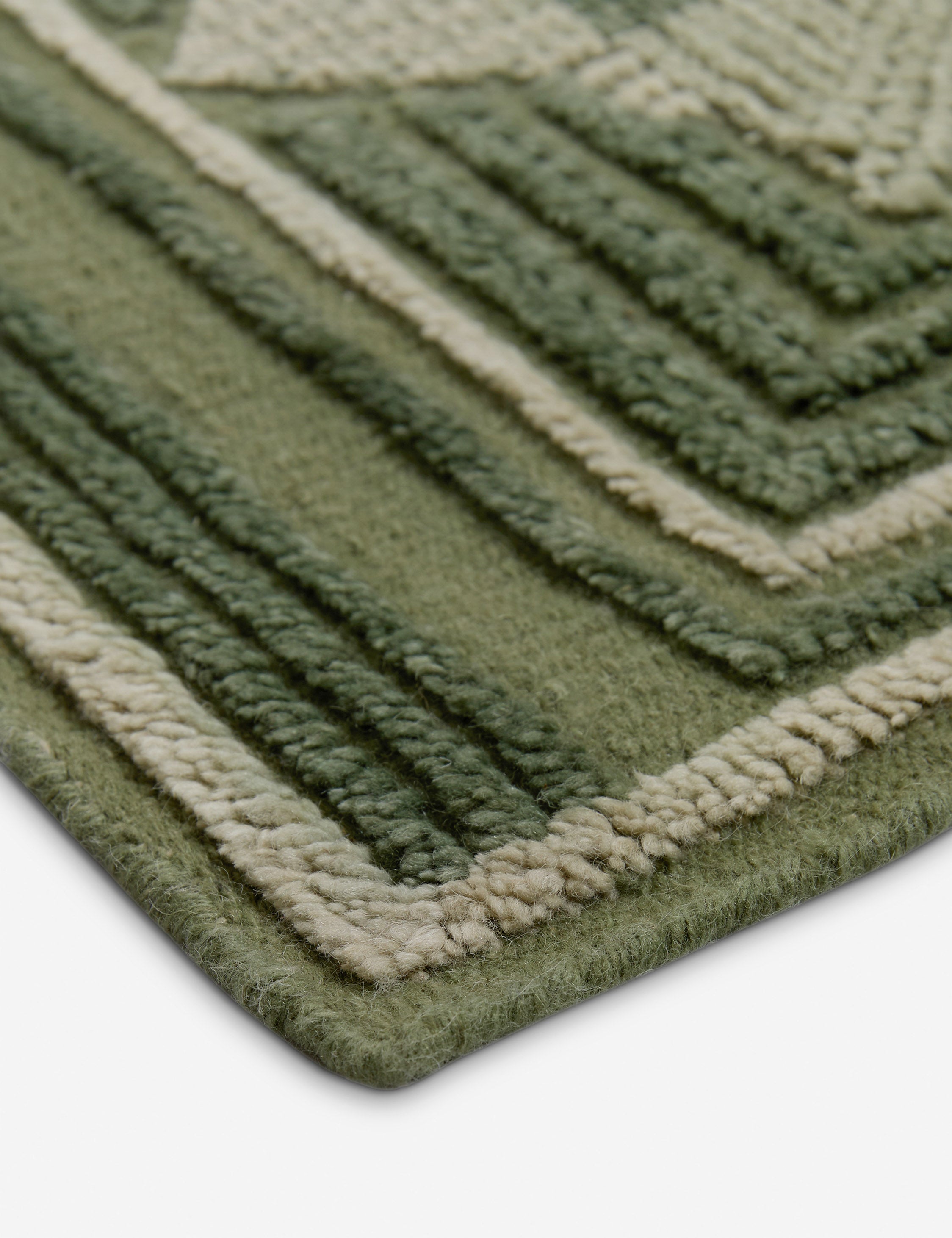 Hand Knotted Wool Rug by Aimee Song - Carlisle Collection | Premium Handmade Area Rug for Living Room, Bedroom & Home Decor