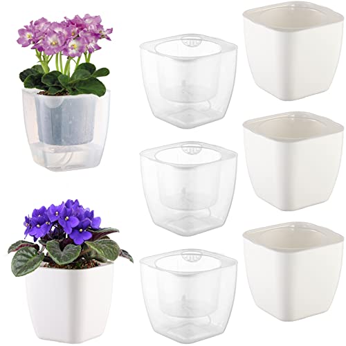 Mixed Set/ Clear and White