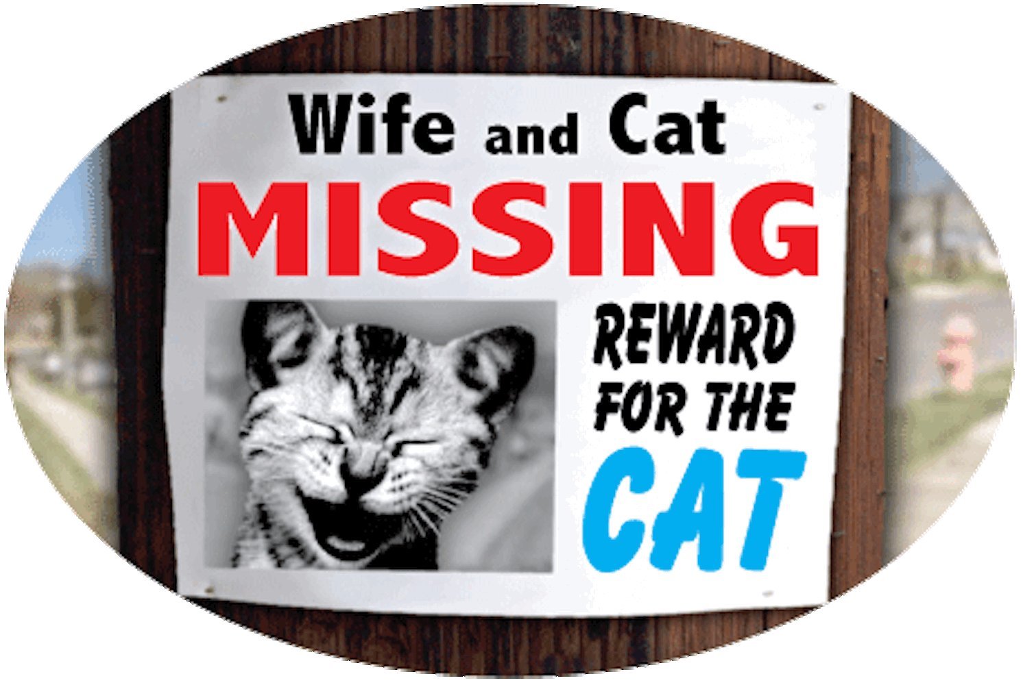 Sandical Oval Magnet - Funny Missing Cat & Wife Reward Sign - Perfect for Fridge, Office, or Gifts for Pet Lovers & Couples