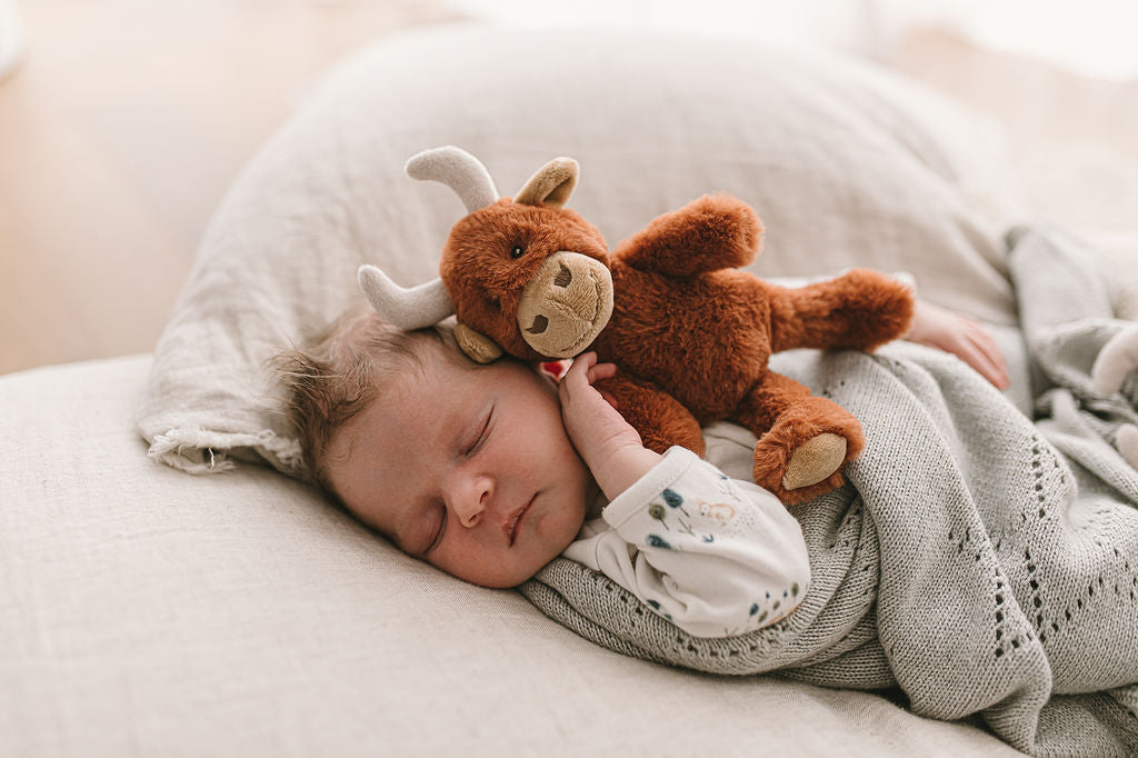 Henry the Highland Cow Baby Rattle - Soft & Safe Teething Toy for Infants & Toddlers - Perfect for Nursery, Playtime & Baby Shower Gifts