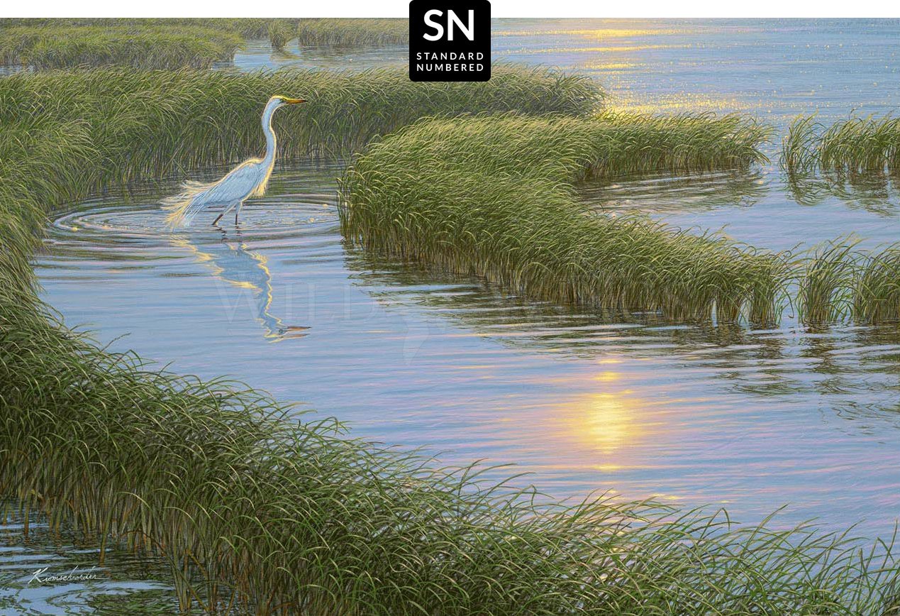 Evening Solitude - White Egret Art Print | Standard Numbered Edition (SN) | Home Decor, Office Wall Art, Gift for Nature Lovers