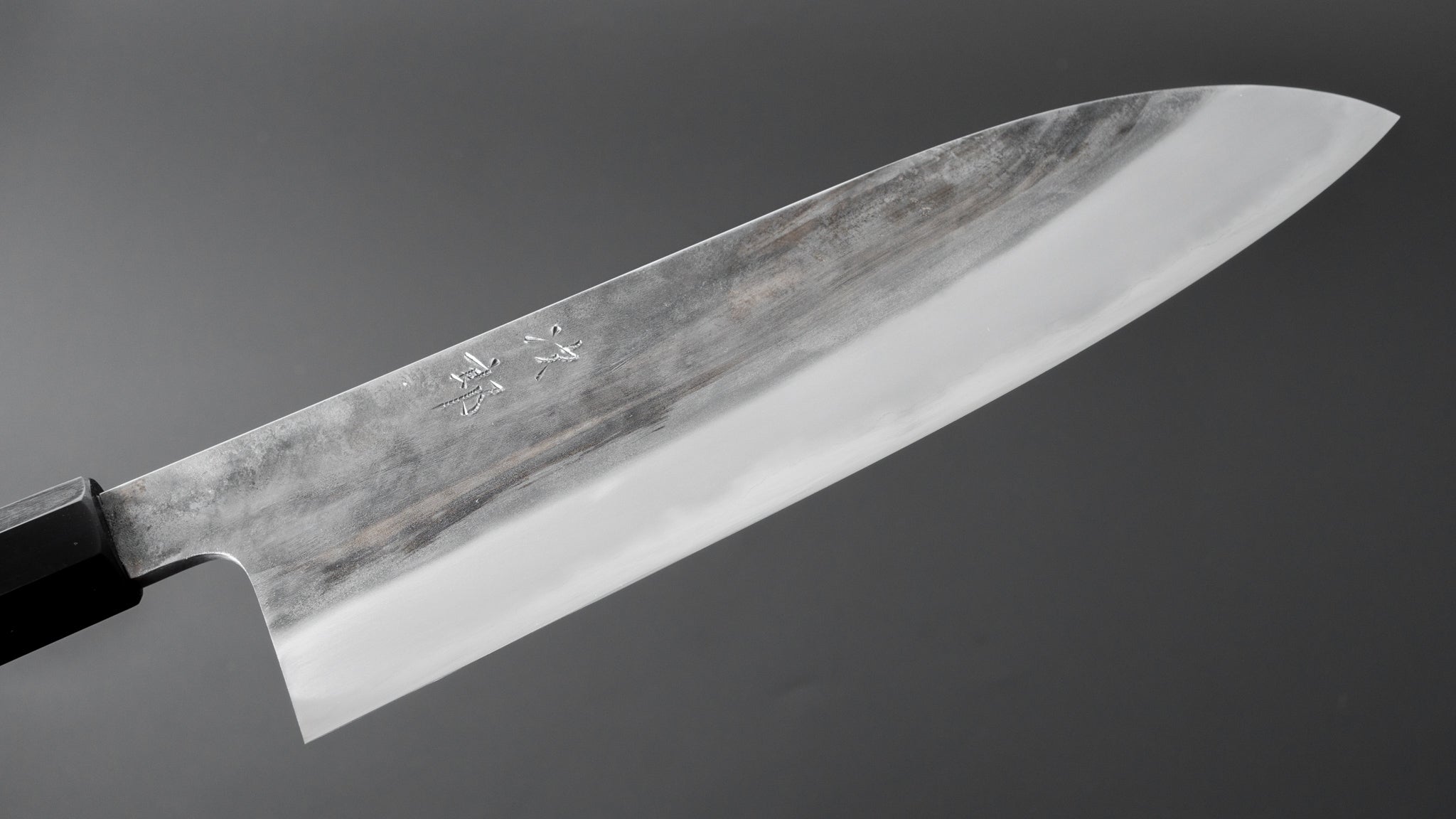 Premium Jiro Tsuchime Wa Gyuto 240mm Japanese Chef Knife with Taihei Tagayasan Handle - Perfect for Sushi, Meat Cutting & Professional Kitchen Use