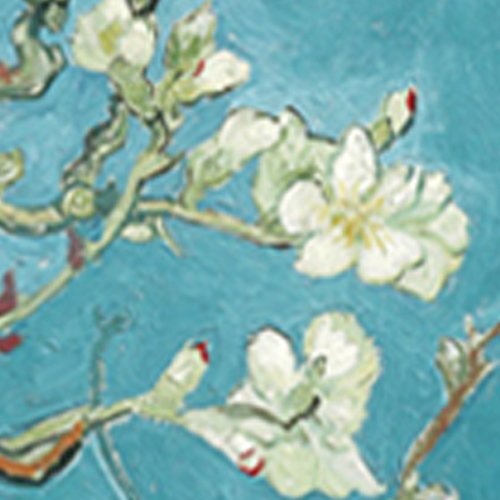 Blossom