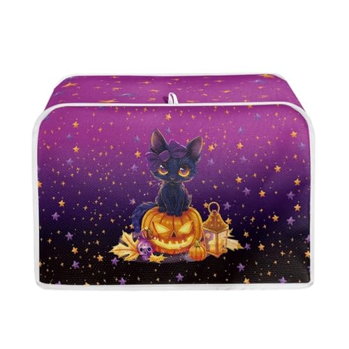 Pumpkin Cat