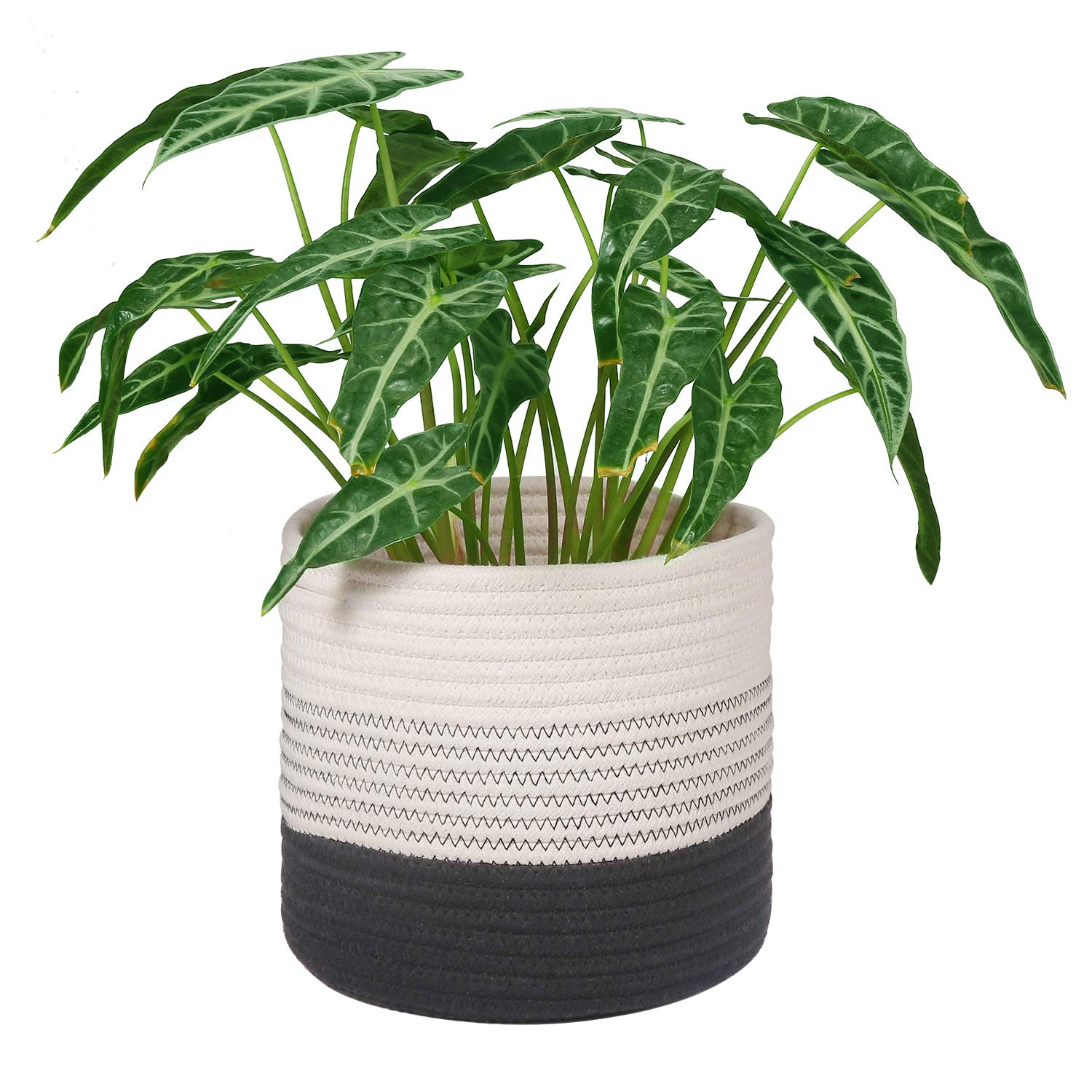 LEEPES Cotton Rope Woven Plant Basket - Modern 8.5
