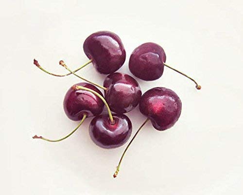 5x7 Inch Cherry Photo Print - Vintage Kitchen Wall Decor for Farmhouse, Dining Room & Home Aesthetic