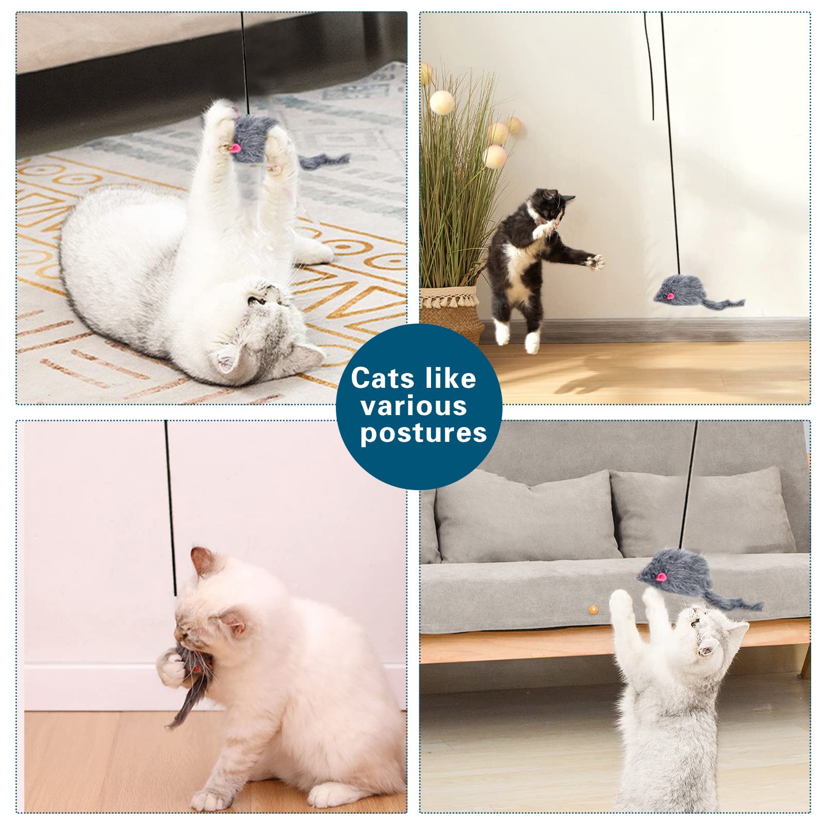Kalimdor Interactive Cat Feather Toys - Retractable Teaser Wand for Indoor Cats & Kittens | Fun Chase Exercise & Mental Stimulation Play (1 Pack) | Perfect for Playtime, Training & Bonding with Your Feline Friend