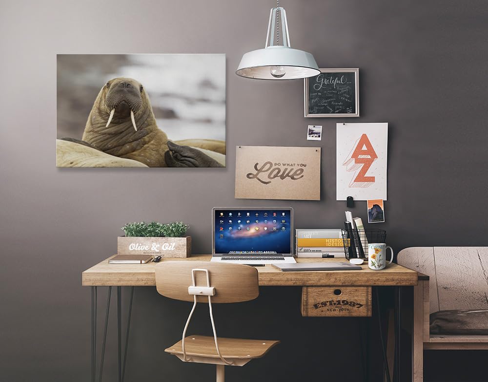 Lantern Press Walrus Wall Art - 12x18 Wrapped Canvas Print for Home & Office Decor | Perfect for Living Room, Bedroom or Gift Idea