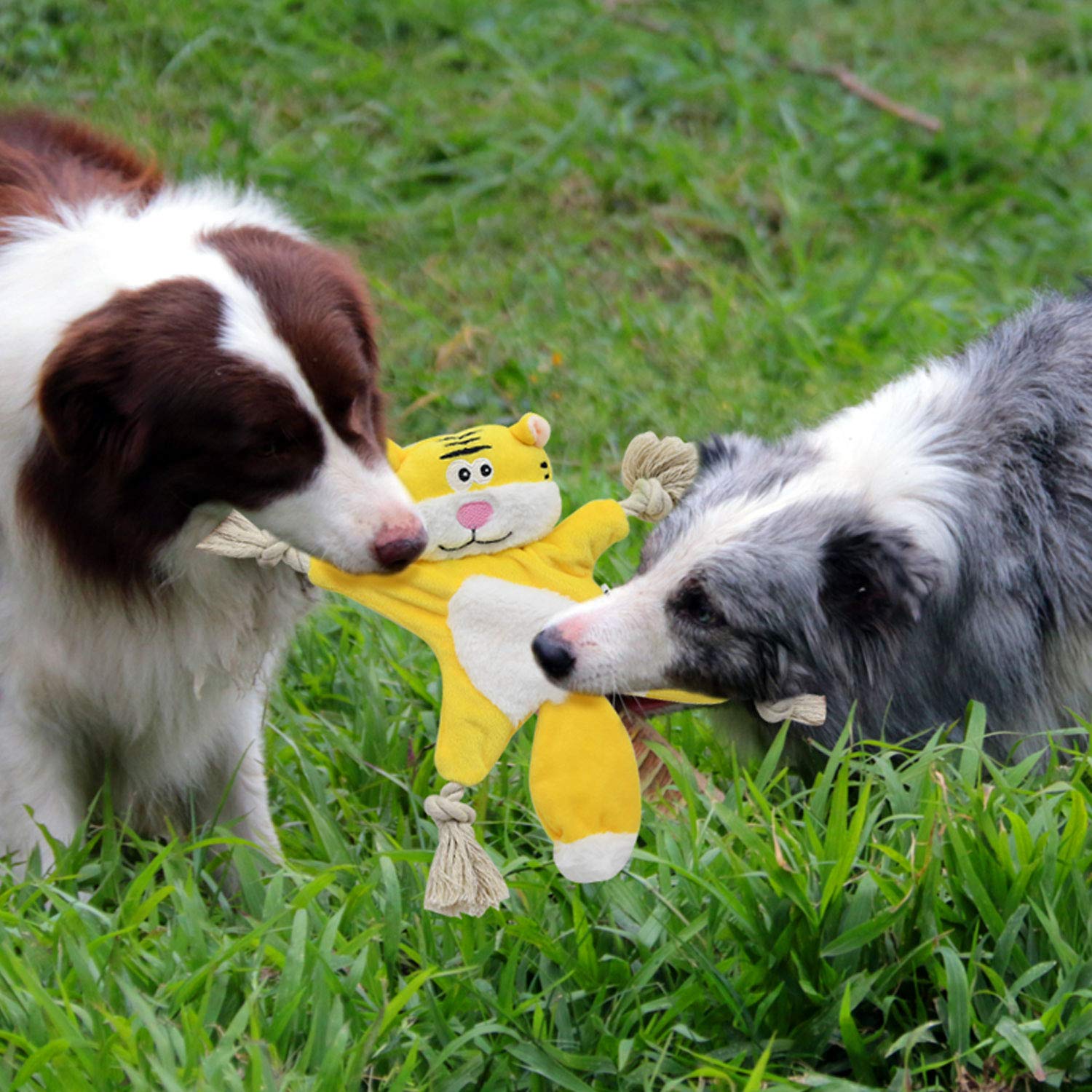 Durable Dog Chew Toys for Aggressive Chewers - Small Breed Puppy Teething Toys with Squeaker & Crinkle Sounds, No Stuffing Tiger Design - Perfect for Puppy Training, Indoor Playtime and Anxiety Relief