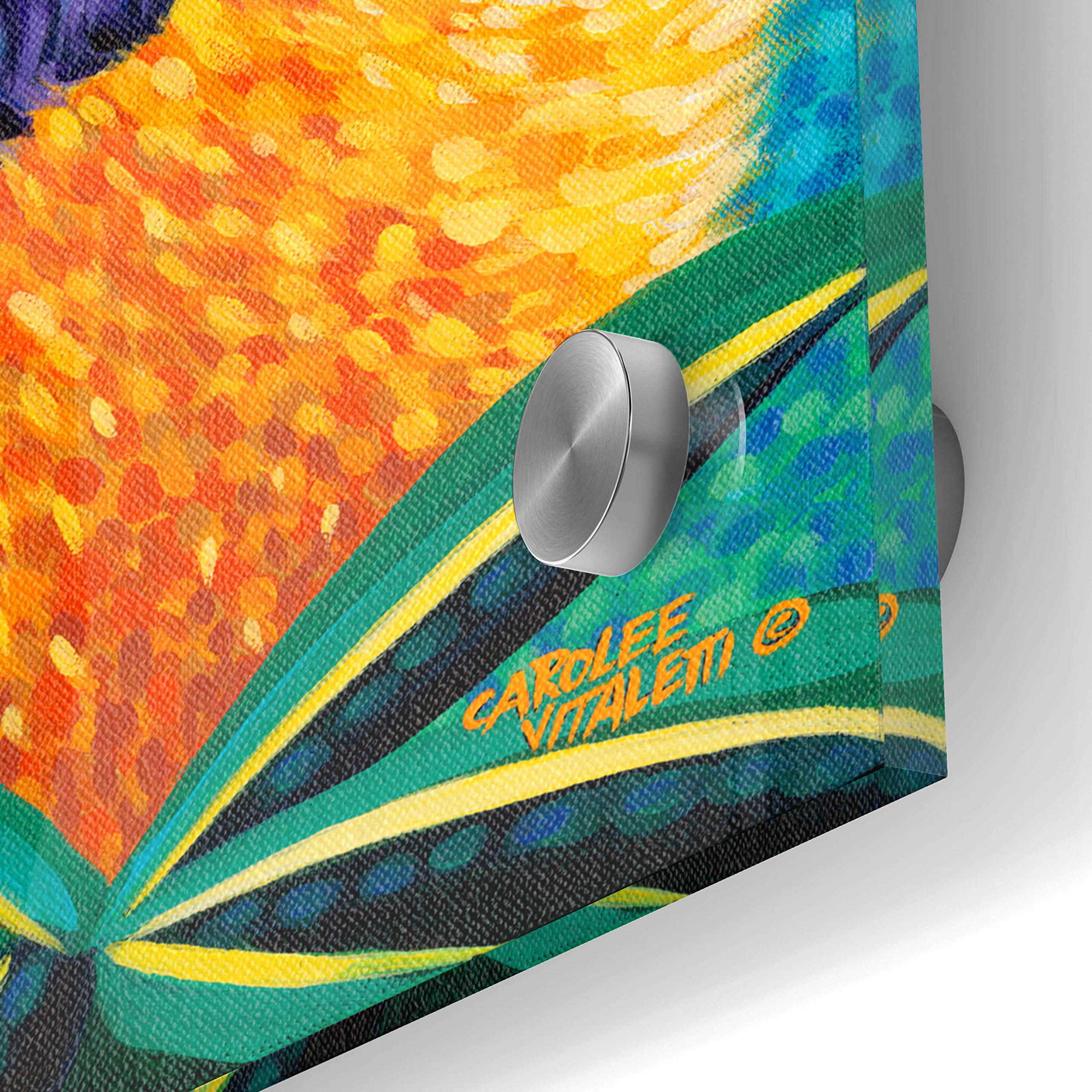 Birds in Paradise II by Carolee Vitaletti - 24x24 Inch Vibrant Acrylic Glass Wall Art Painting - Tropical Bird Decor for Living Room, Bedroom & Office