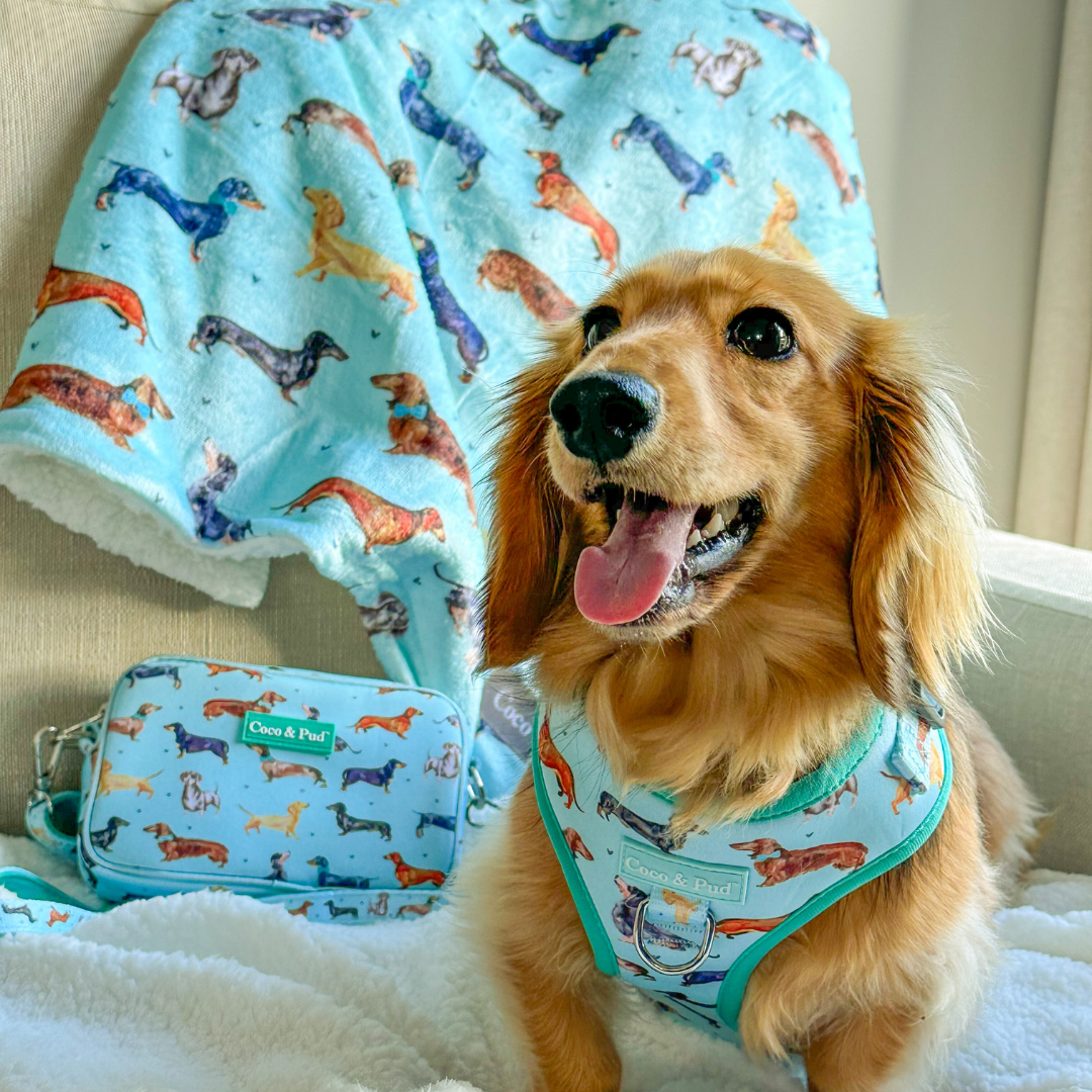 Doxie Love Luxe Blanket - Ultra Soft & Cozy Plush Throw for Dogs & Pet Lovers - Perfect for Cuddling, Sofa, Bed & Travel Use