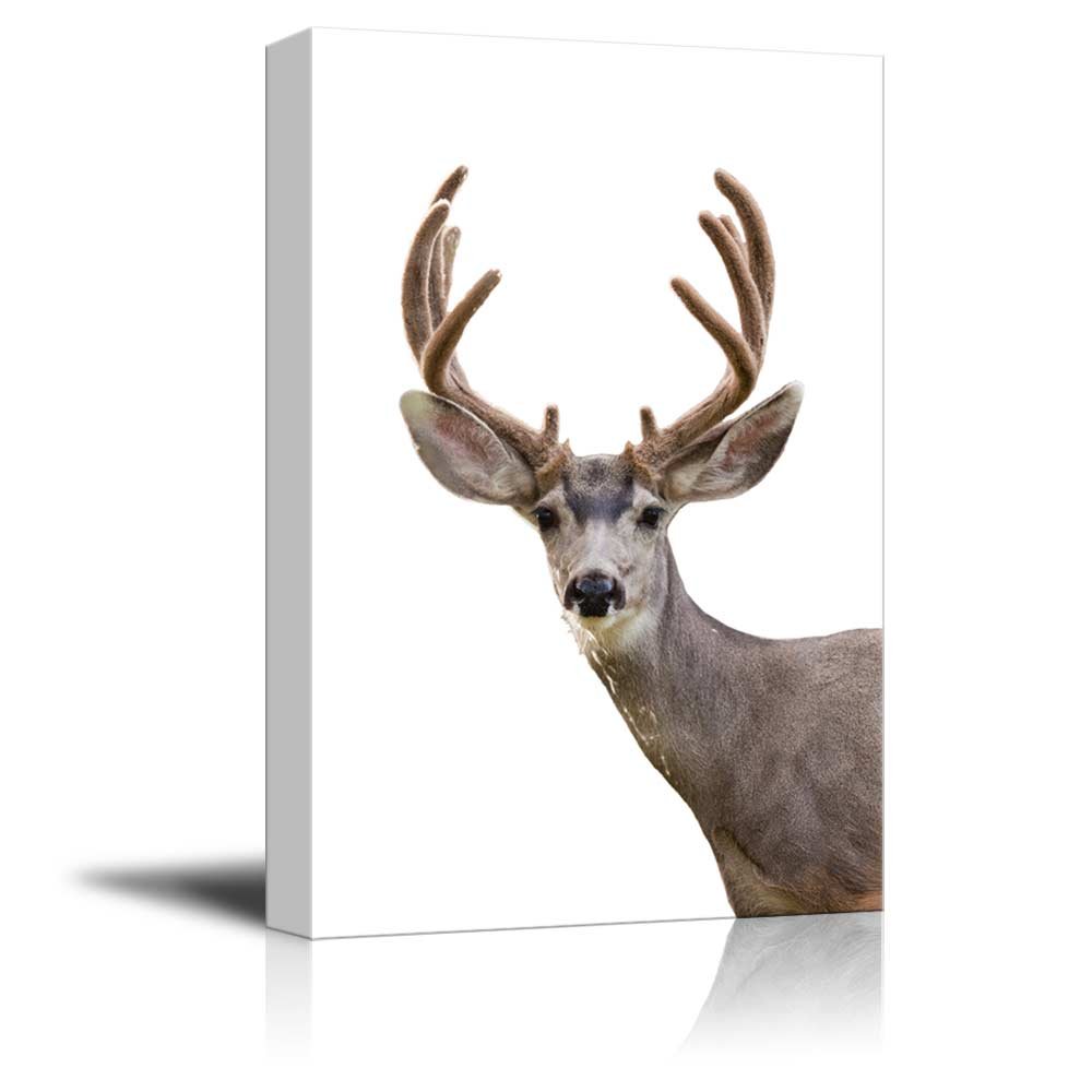 Wall26 - Premium Canvas Wall Art - A Deer Giclee Print, Gallery Wrapped Modern Home Decor, Ready to Hang (32