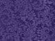 Midnight Violet