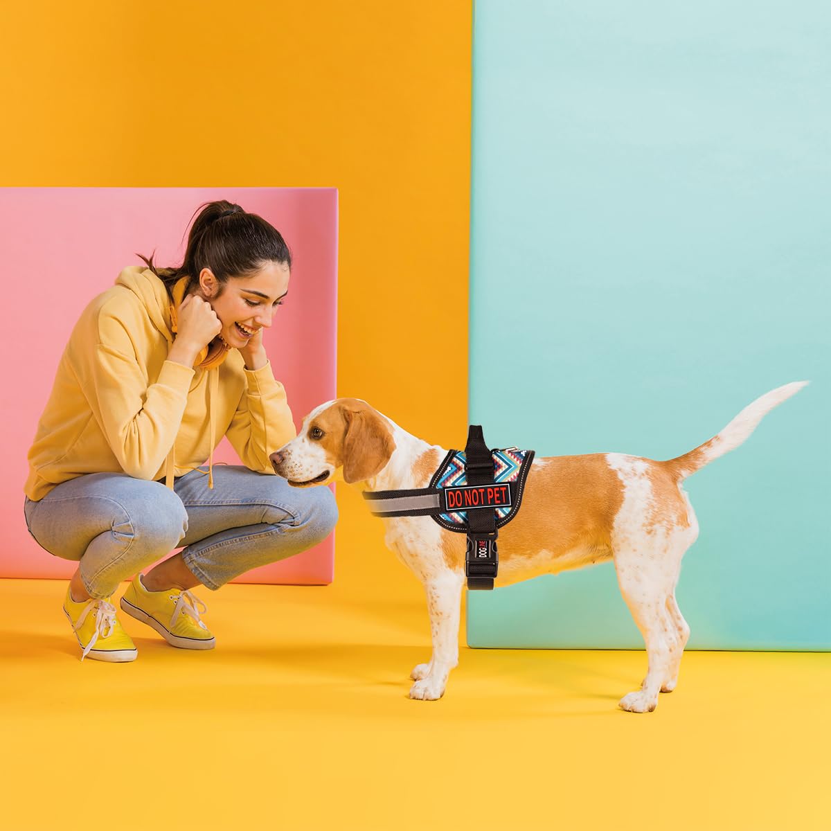 Dogline Do Not Pet Removable 3D Rubber Patches for Dog Harness & Vest - Hook & Loop Backing for Small/Medium/Large Working Dogs (1.5