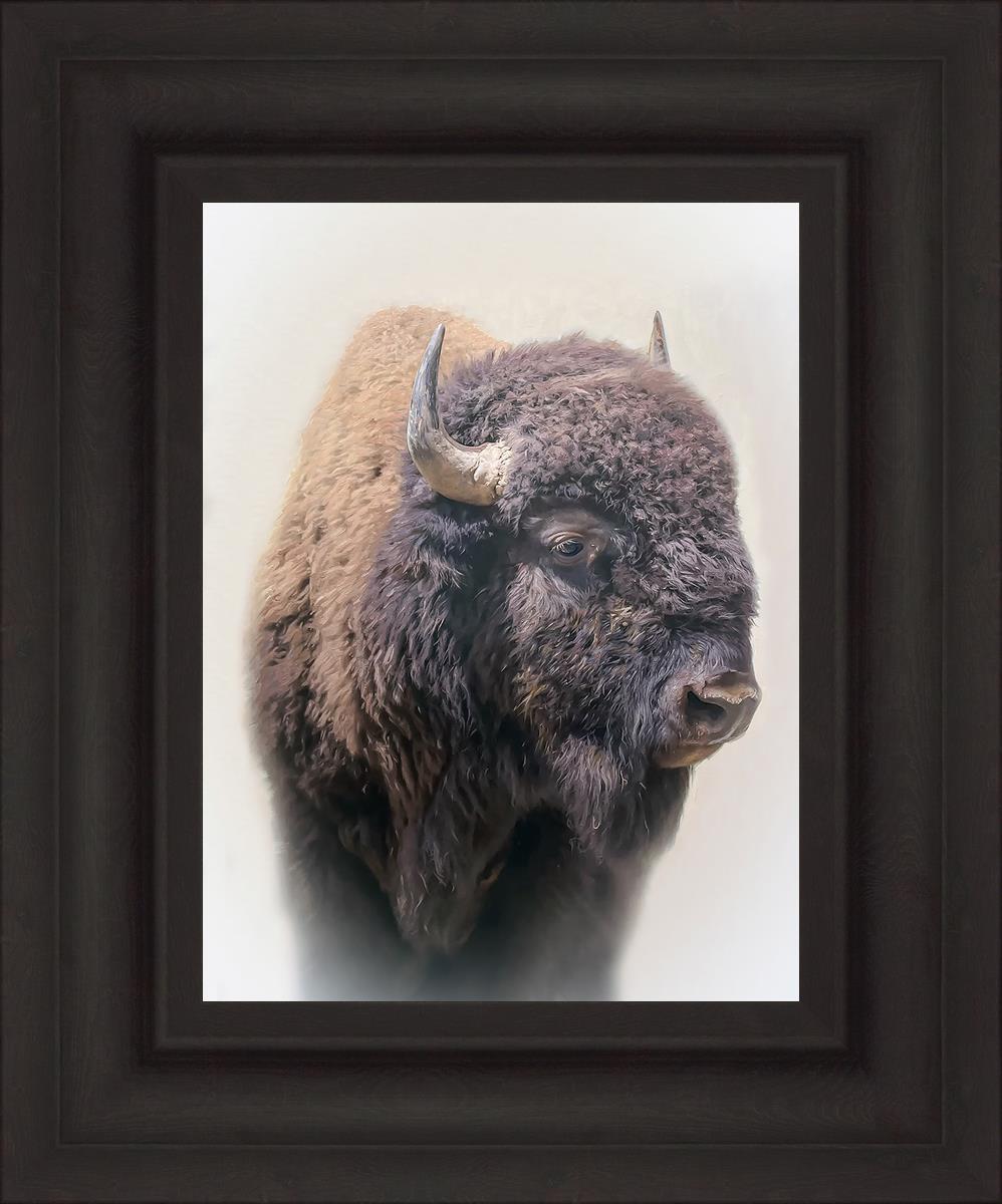 Bison By Matthew Grant | Premium Bison Meat & Jerky | High-Protein Snacks for Camping, Hiking & Outdoor Adventures
