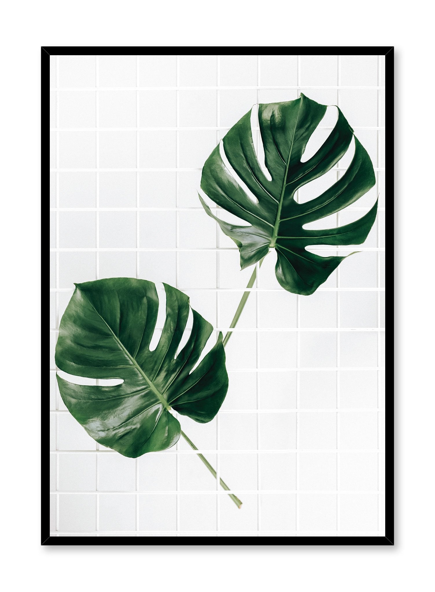 Monstera Deliciosa Plant Poster - Tropical Leaf Wall Art Decor for Home, Office & Nursery - Perfect for Boho, Aesthetic & Plant Lover Spaces