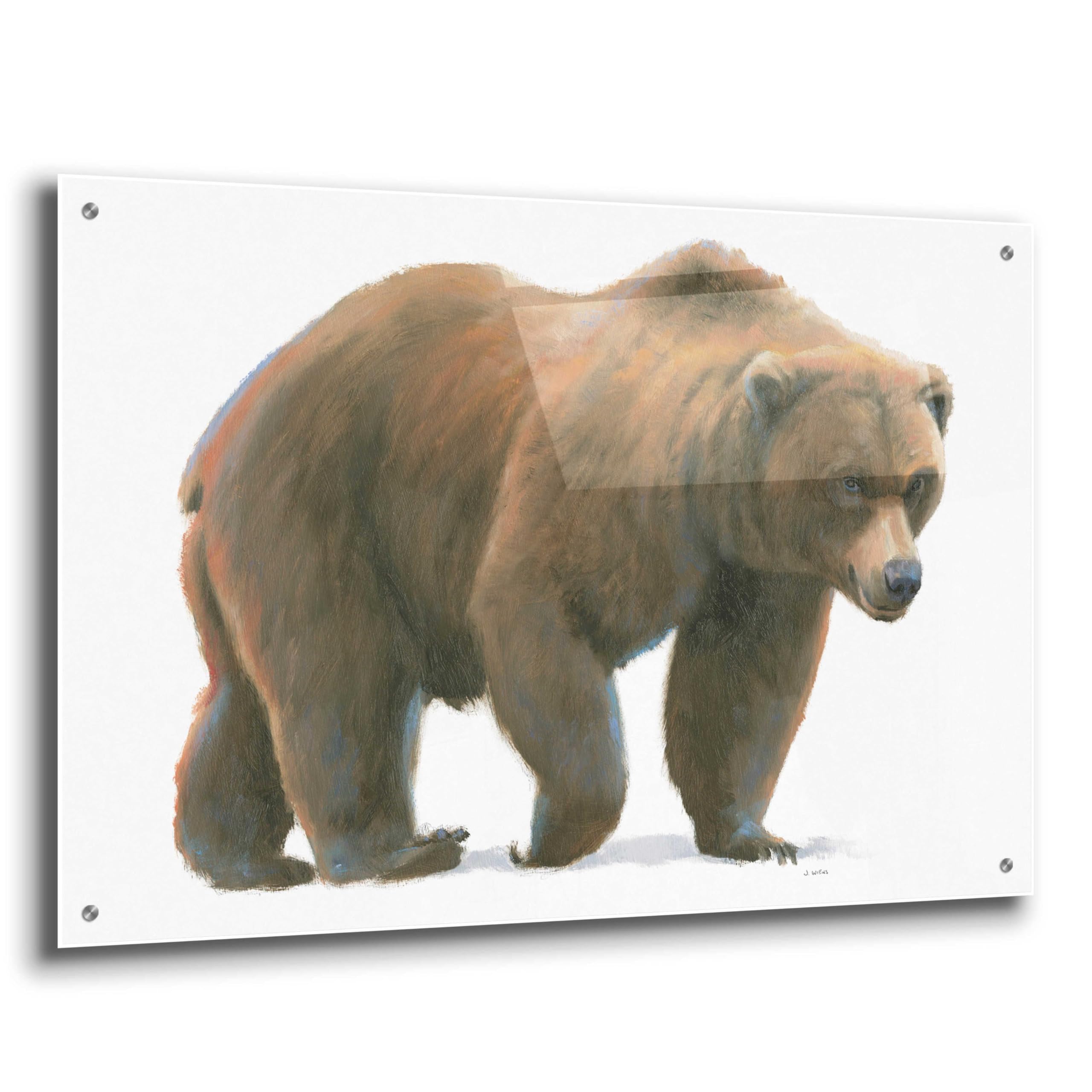 Epic Art 'Northern Wild I' by James Wiens - 36x24 Inch Acrylic Glass Wall Art Painting for Living Room, Bedroom & Office Decor