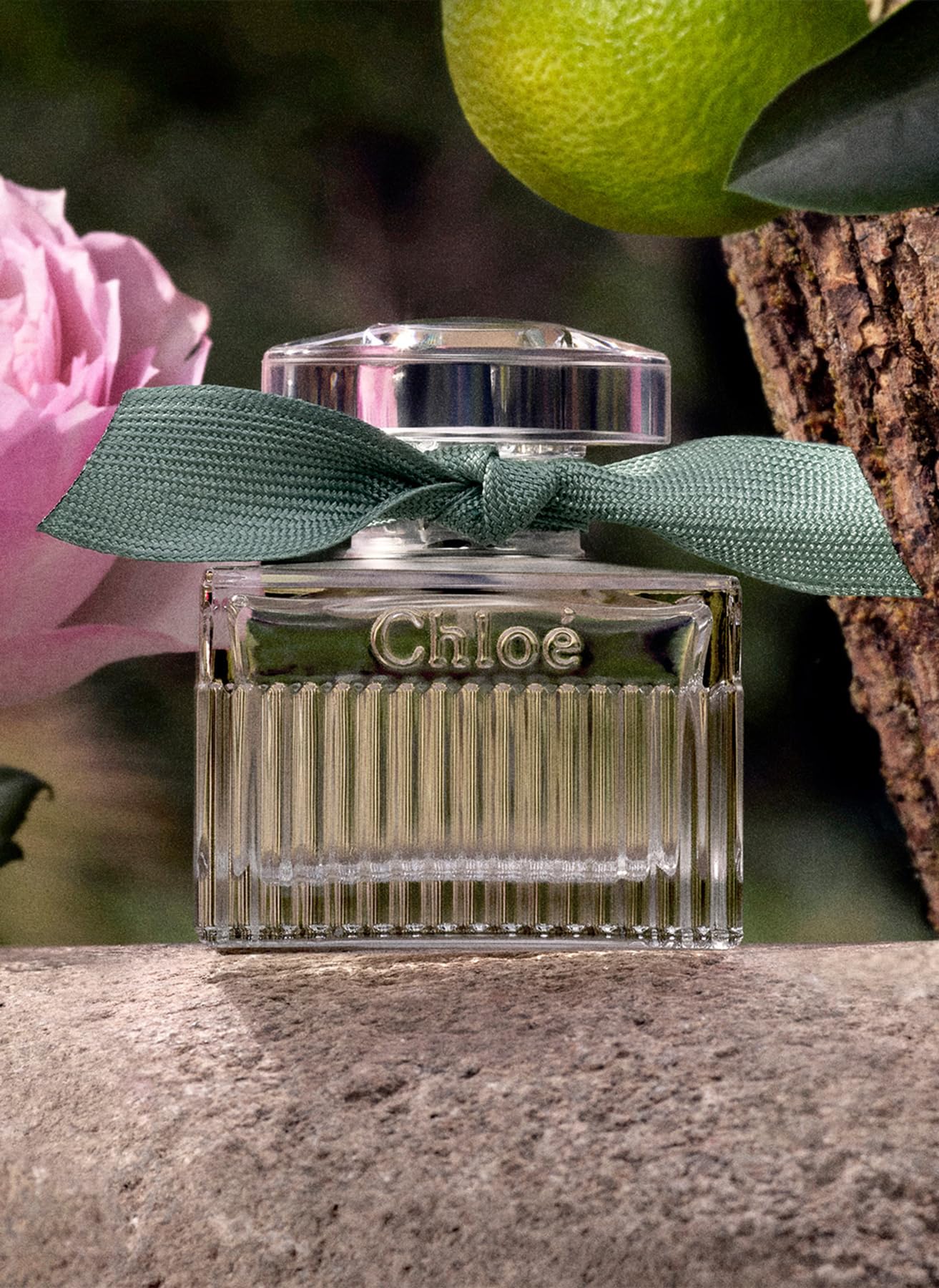 Chloe Rose Naturelle Intense Perfume for Women - 1.6 oz Eau de Parfum Spray | Floral Fragrance for Date Night & Special Occasions